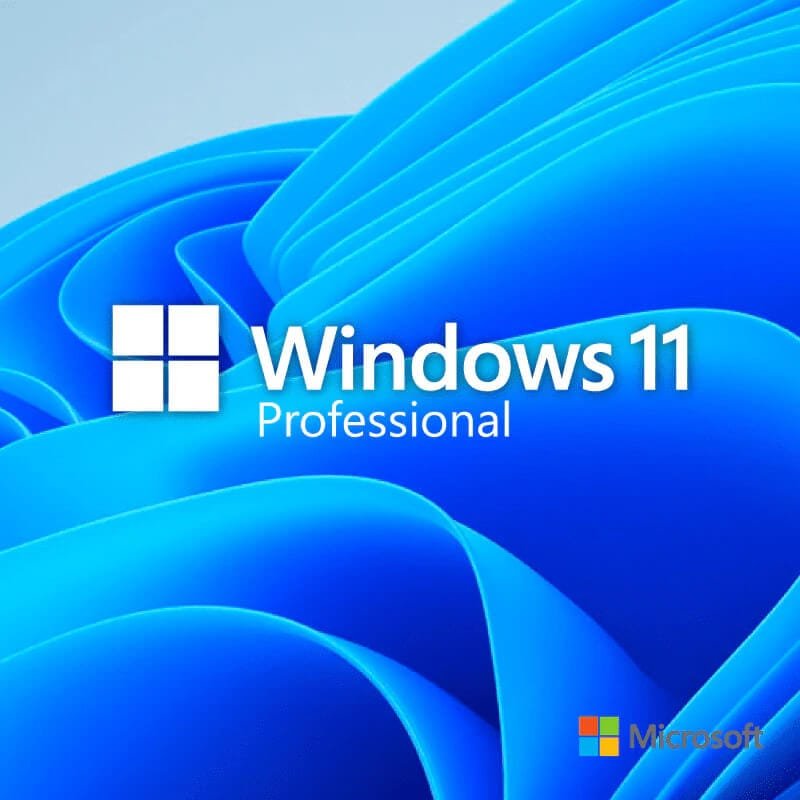 windows11 pro 1